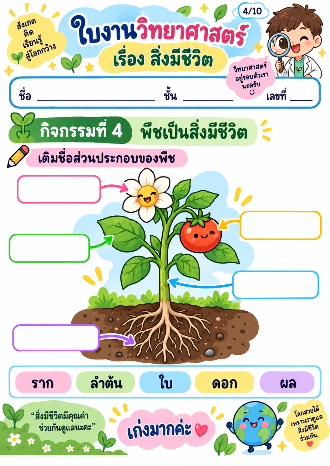 ตัวอย่าง ชุดใบงานวิชาวิทยาศาสตร์ เรื่อง สิ่งมีชีวิต